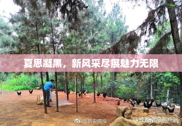 夏思凝黑，新风采尽展魅力无限