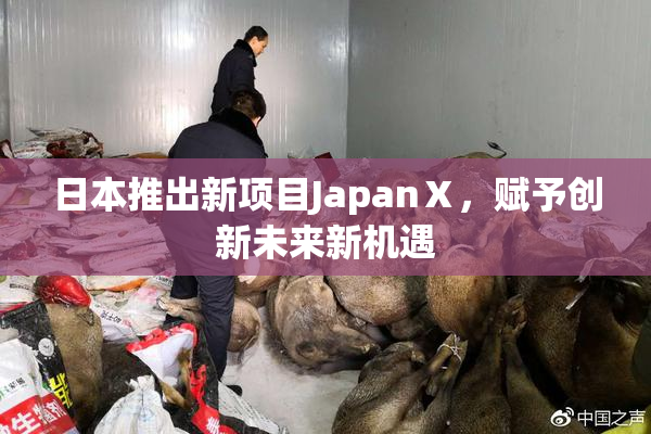 日本推出新项目JapanⅩ，赋予创新未来新机遇