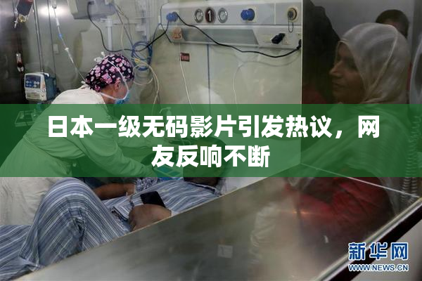 日本一级无码影片引发热议，网友反响不断