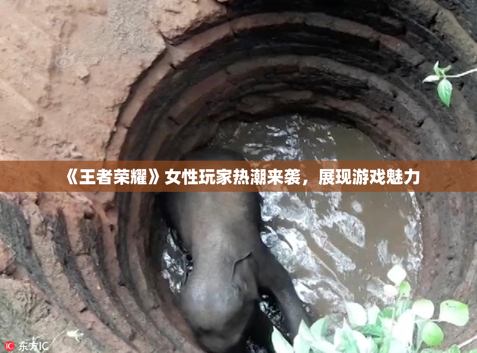《王者荣耀》女性玩家热潮来袭，展现游戏魅力