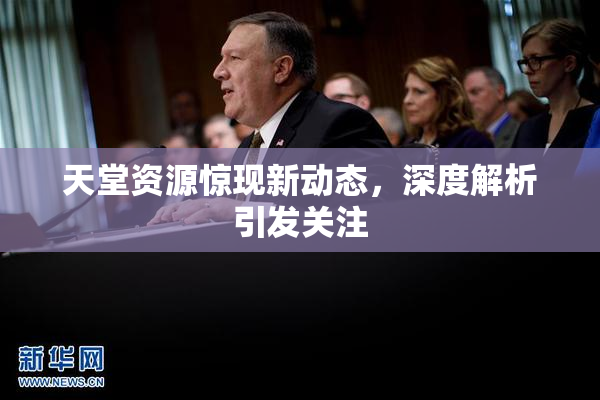 天堂资源惊现新动态，深度解析引发关注