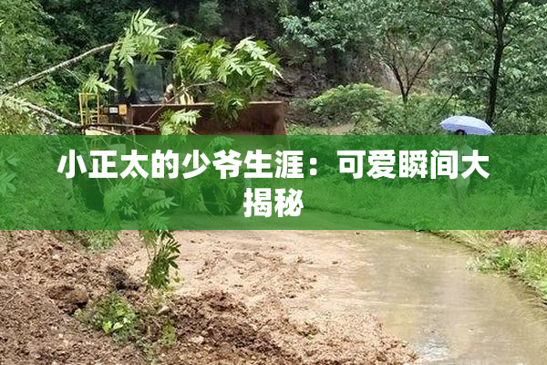 小正太的少爷生涯：可爱瞬间大揭秘