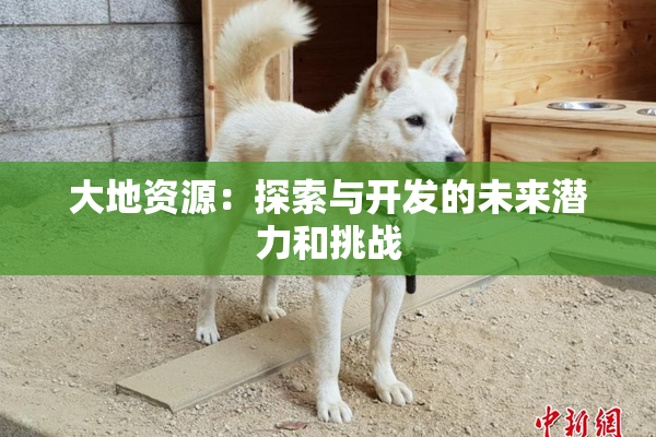 大地资源：探索与开发的未来潜力和挑战