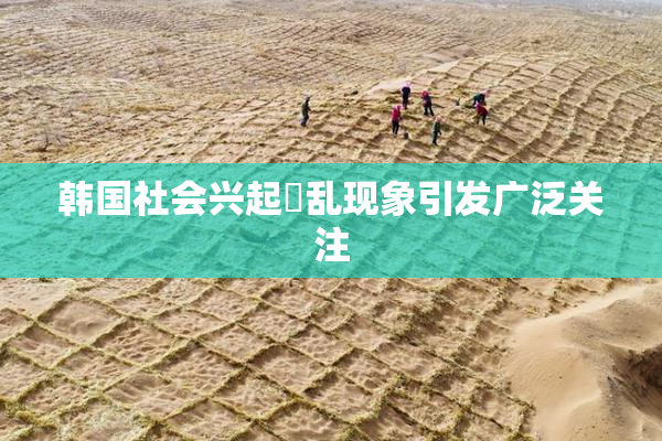 韩国社会兴起婬乱现象引发广泛关注