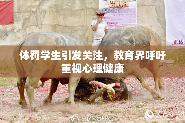 体罚学生引发关注，教育界呼吁重视心理健康