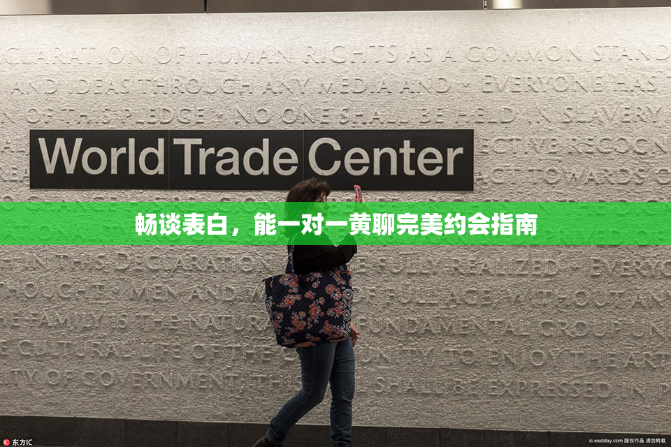 畅谈表白，能一对一黄聊完美约会指南