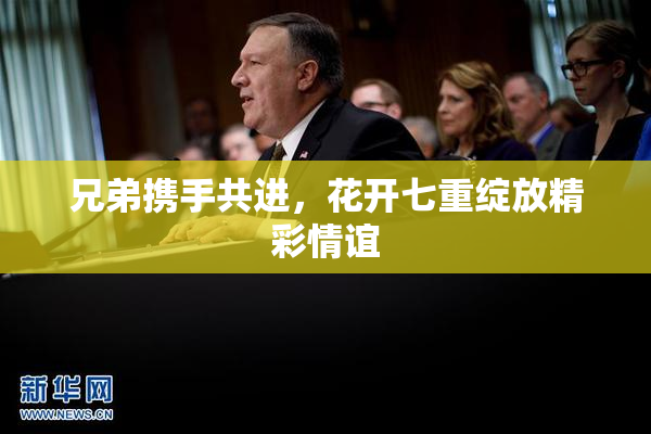 兄弟携手共进，花开七重绽放精彩情谊
