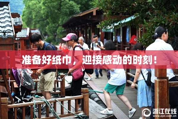 准备好纸巾，迎接感动的时刻！