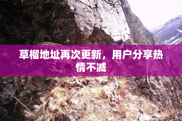 草榴地址再次更新，用户分享热情不减