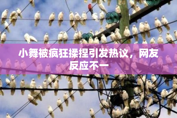小舞被疯狂揉捏引发热议，网友反应不一