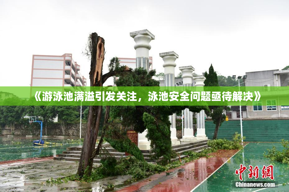 《游泳池满溢引发关注，泳池安全问题亟待解决》