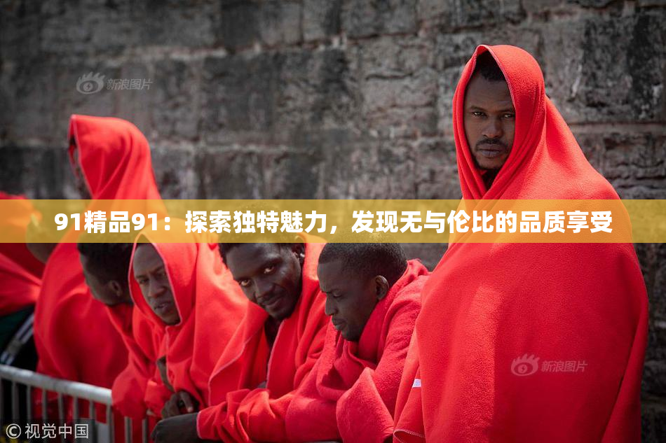 91精品91：探索独特魅力，发现无与伦比的品质享受