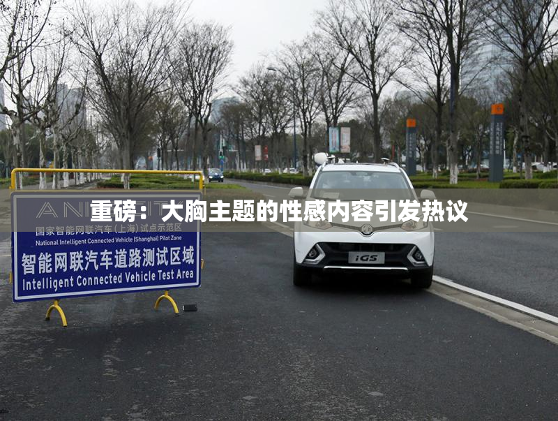 重磅：大胸主题的性感内容引发热议