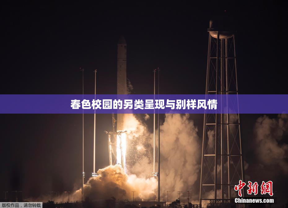 春色校园的另类呈现与别样风情
