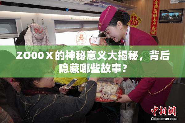 ZO00Ⅹ的神秘意义大揭秘，背后隐藏哪些故事？