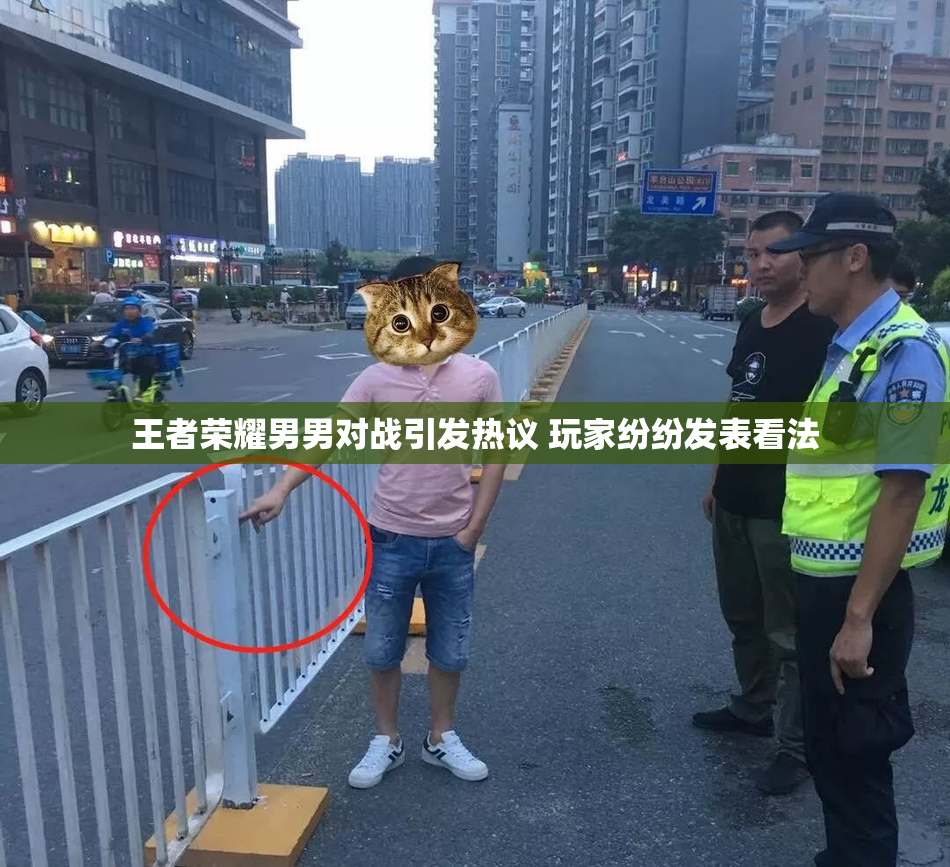 王者荣耀男男对战引发热议 玩家纷纷发表看法