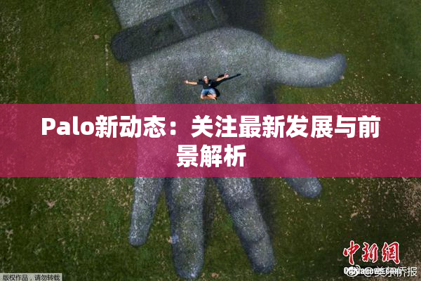 Palo新动态：关注最新发展与前景解析