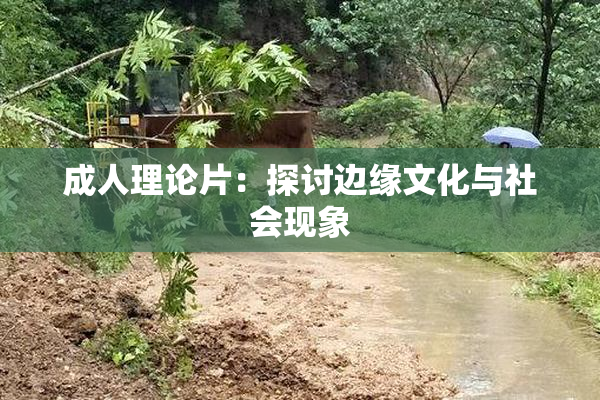 成人理论片：探讨边缘文化与社会现象