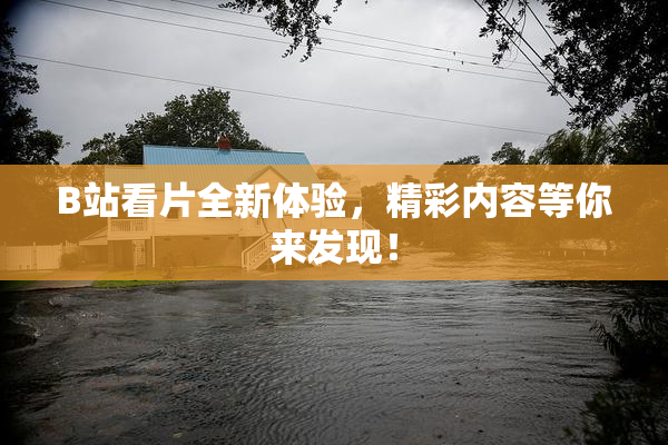 B站看片全新体验，精彩内容等你来发现！