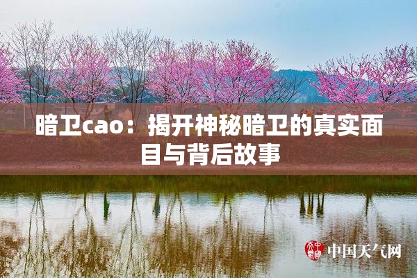 暗卫cao：揭开神秘暗卫的真实面目与背后故事