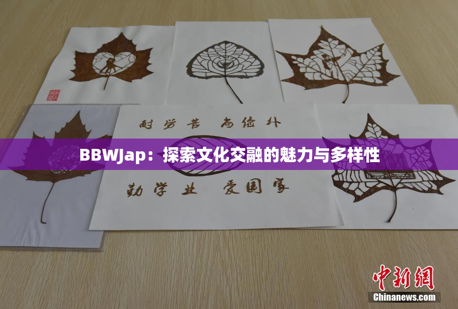 BBWJap：探索文化交融的魅力与多样性