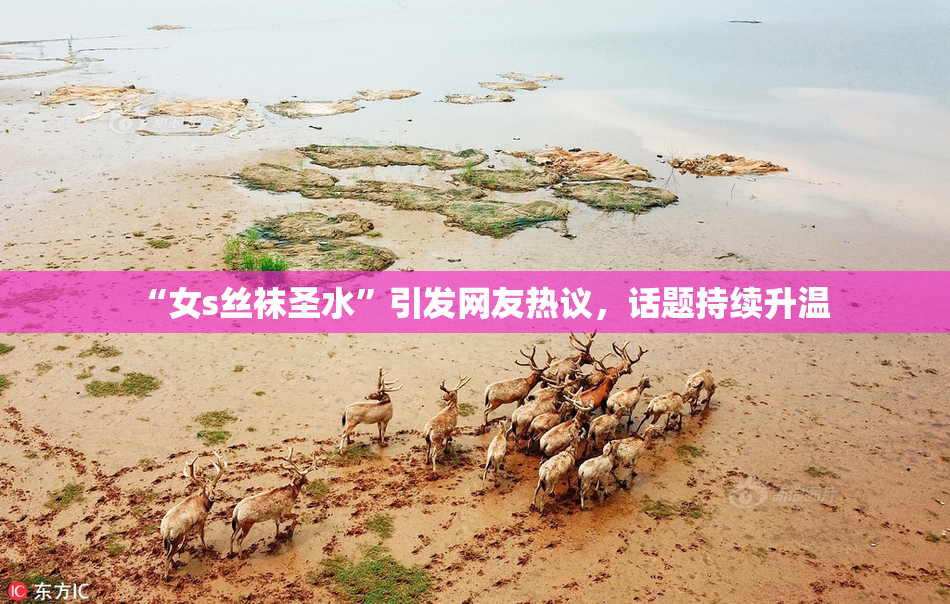 “女s丝袜圣水”引发网友热议，话题持续升温