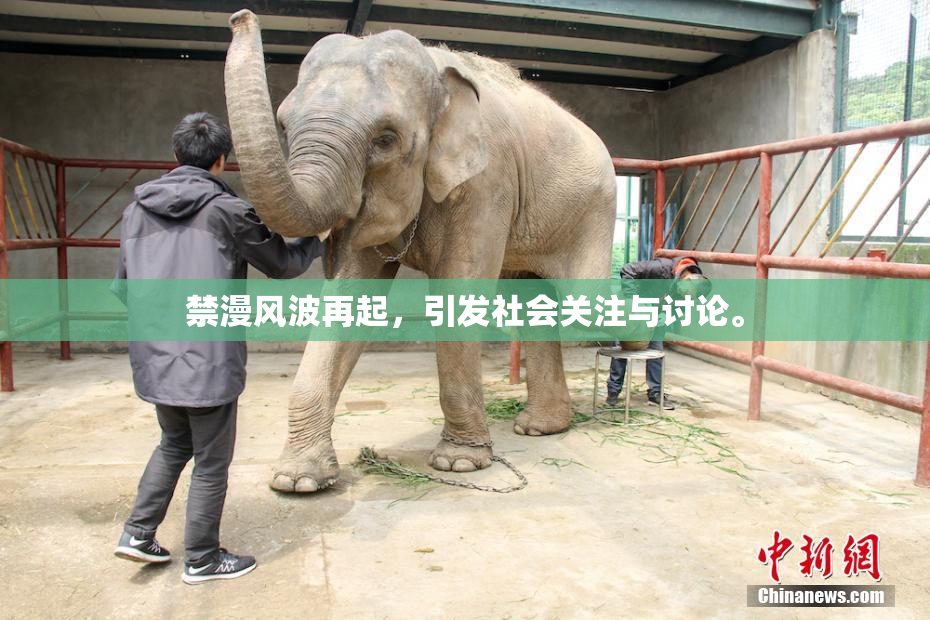 禁漫风波再起，引发社会关注与讨论。