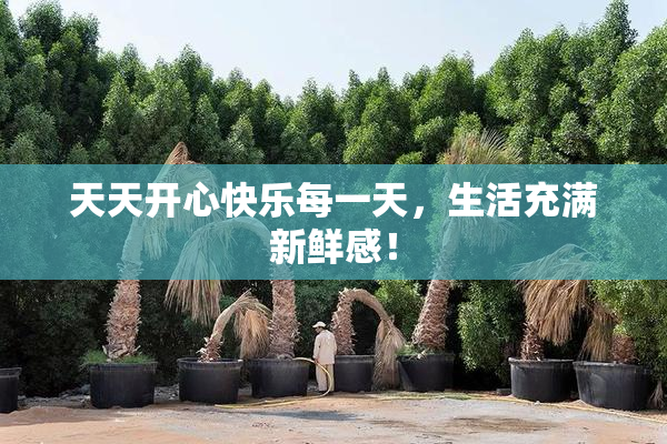 天天开心快乐每一天，生活充满新鲜感！