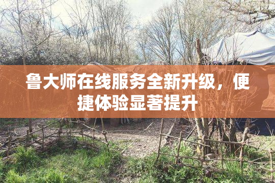 鲁大师在线服务全新升级，便捷体验显著提升
