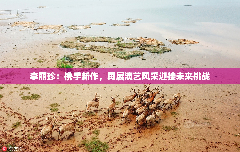 李丽珍：携手新作，再展演艺风采迎接未来挑战
