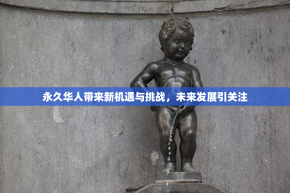 永久华人带来新机遇与挑战，未来发展引关注