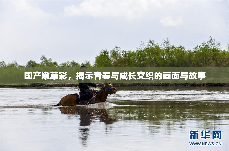 国产嫩草影，揭示青春与成长交织的画面与故事