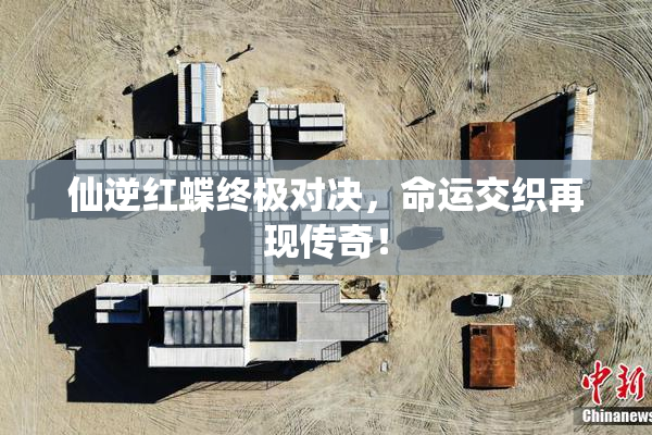 仙逆红蝶终极对决，命运交织再现传奇！