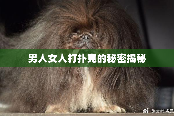 男人女人打扑克的秘密揭秘