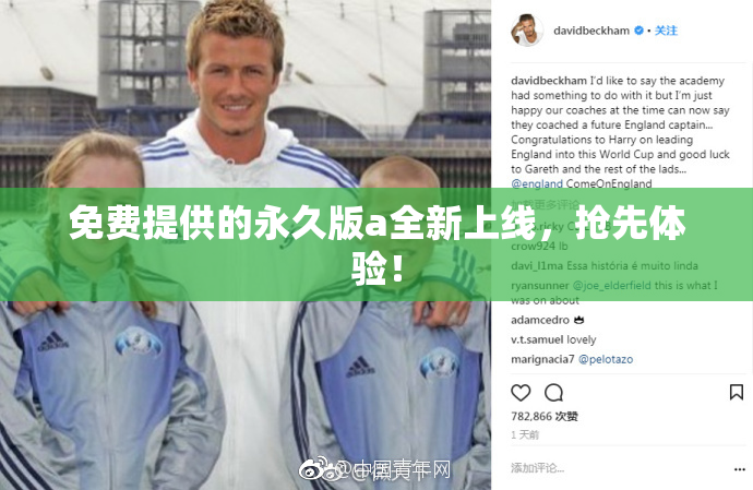 免费提供的永久版a全新上线，抢先体验！