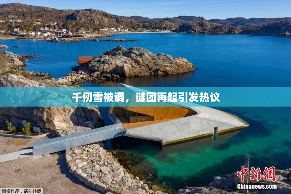 千仞雪被调，谜团再起引发热议