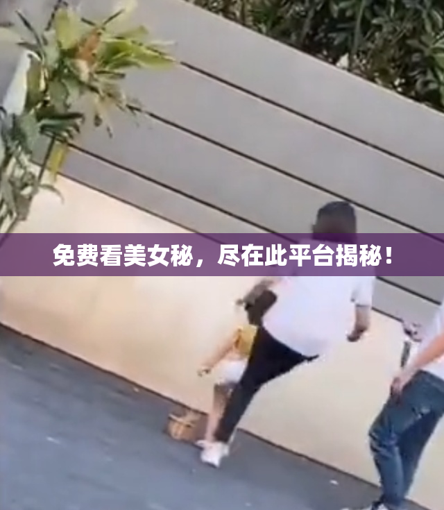 免费看美女秘，尽在此平台揭秘！