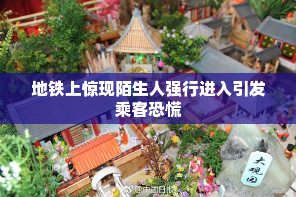 地铁上惊现陌生人强行进入引发乘客恐慌