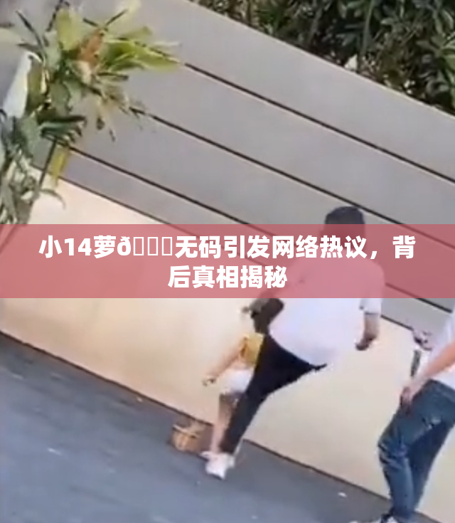 小14萝🔞无码引发网络热议，背后真相揭秘
