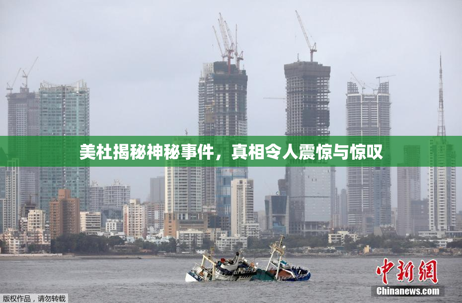 美杜揭秘神秘事件，真相令人震惊与惊叹