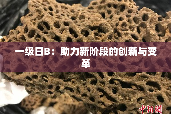一级日B：助力新阶段的创新与变革