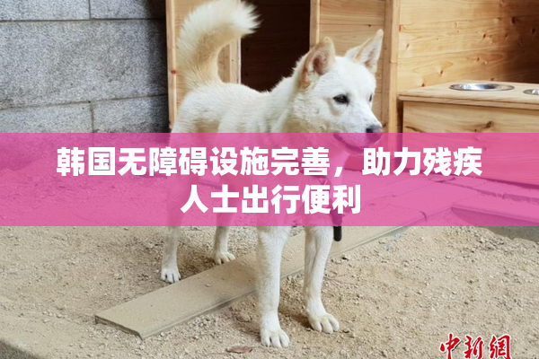 韩国无障碍设施完善，助力残疾人士出行便利