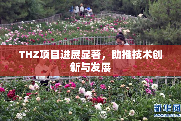 THZ项目进展显著，助推技术创新与发展