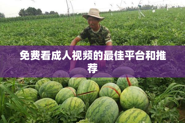 免费看成人视频的最佳平台和推荐