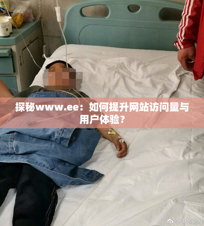 探秘www.ee：如何提升网站访问量与用户体验？