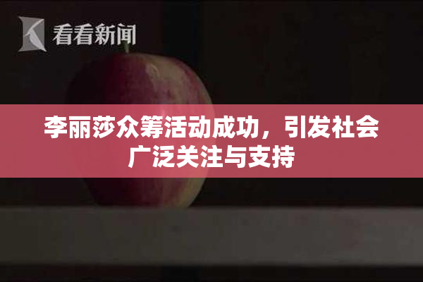 李丽莎众筹活动成功，引发社会广泛关注与支持