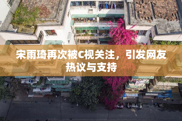 宋雨琦再次被C视关注，引发网友热议与支持