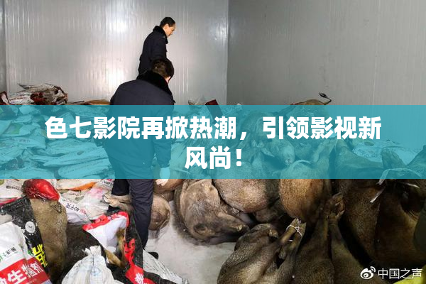 色七影院再掀热潮，引领影视新风尚！