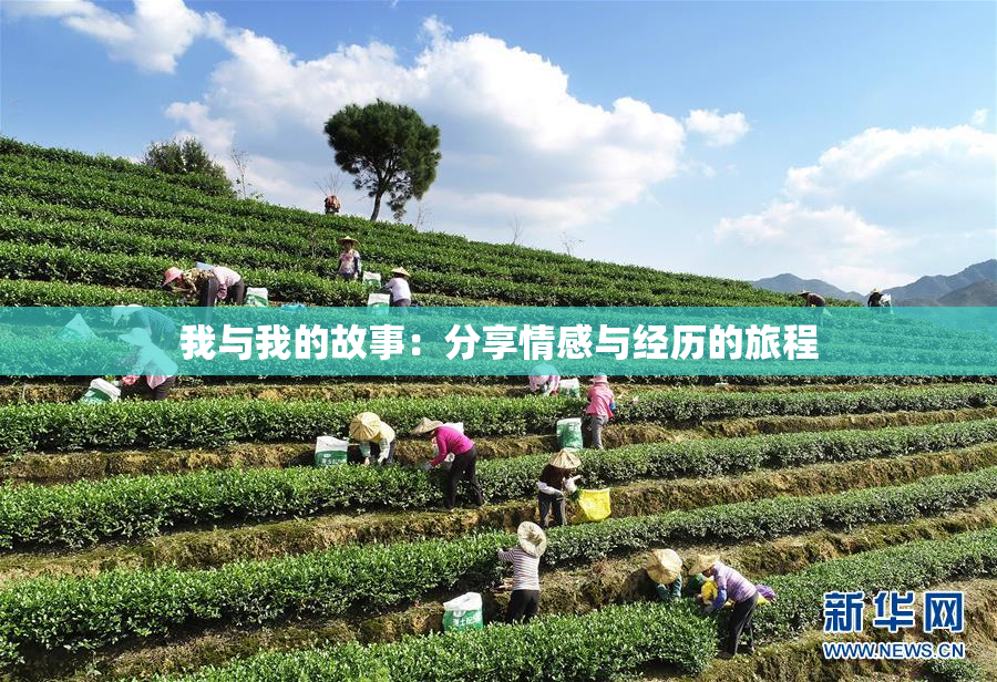我与我的故事：分享情感与经历的旅程