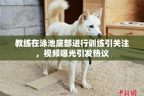 教练在泳池底部进行训练引关注，视频曝光引发热议